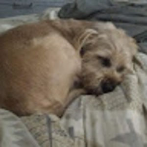 Meet your Posher, Jane